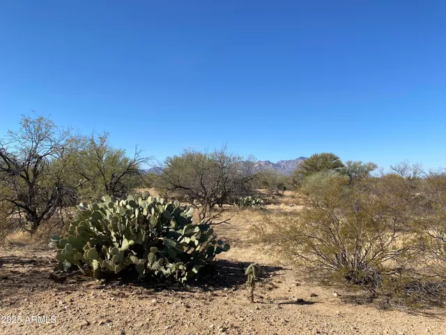 $12,330,000 | 411-lots West 411-lots W Reata Boulevard, Tucson, AZ 85736
