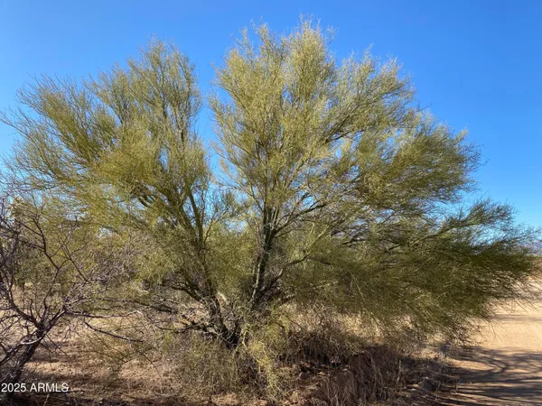 $12,330,000 | 411-lots West 411-lots W Reata Boulevard, Tucson, AZ 85736