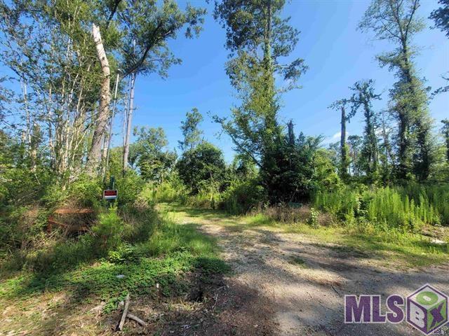 36727 Albin Road Independence, LA 70443 - Photo 5 of 7