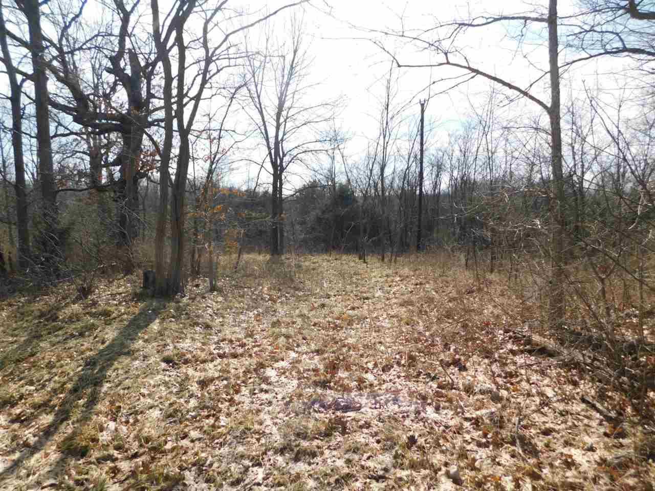 Dogwalk Road Corinth, KY 41010 - Photo 3 of 13