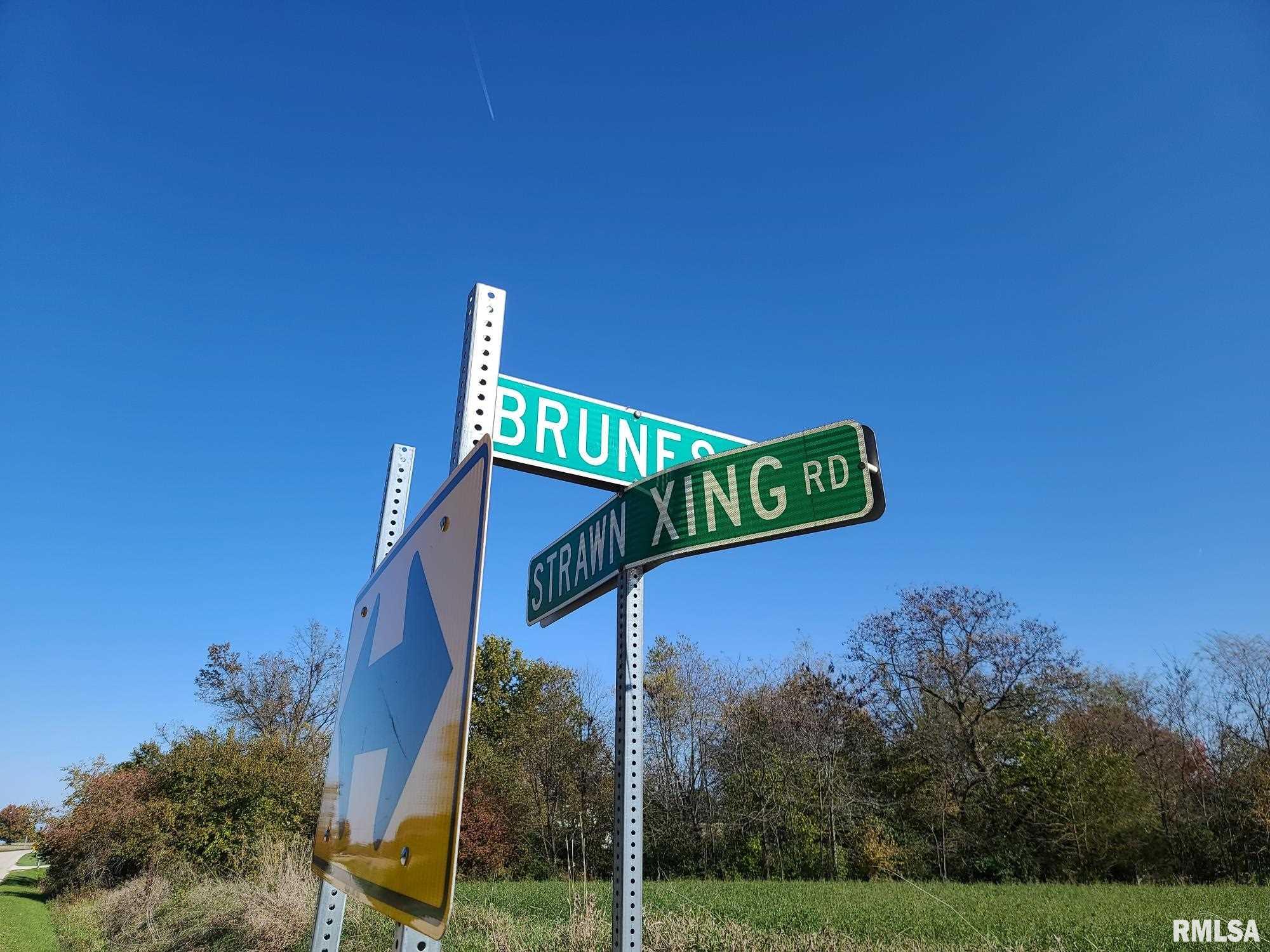 0 Strawn Crossing Road Jacksonville, IL 62650 - Photo 1 of 6