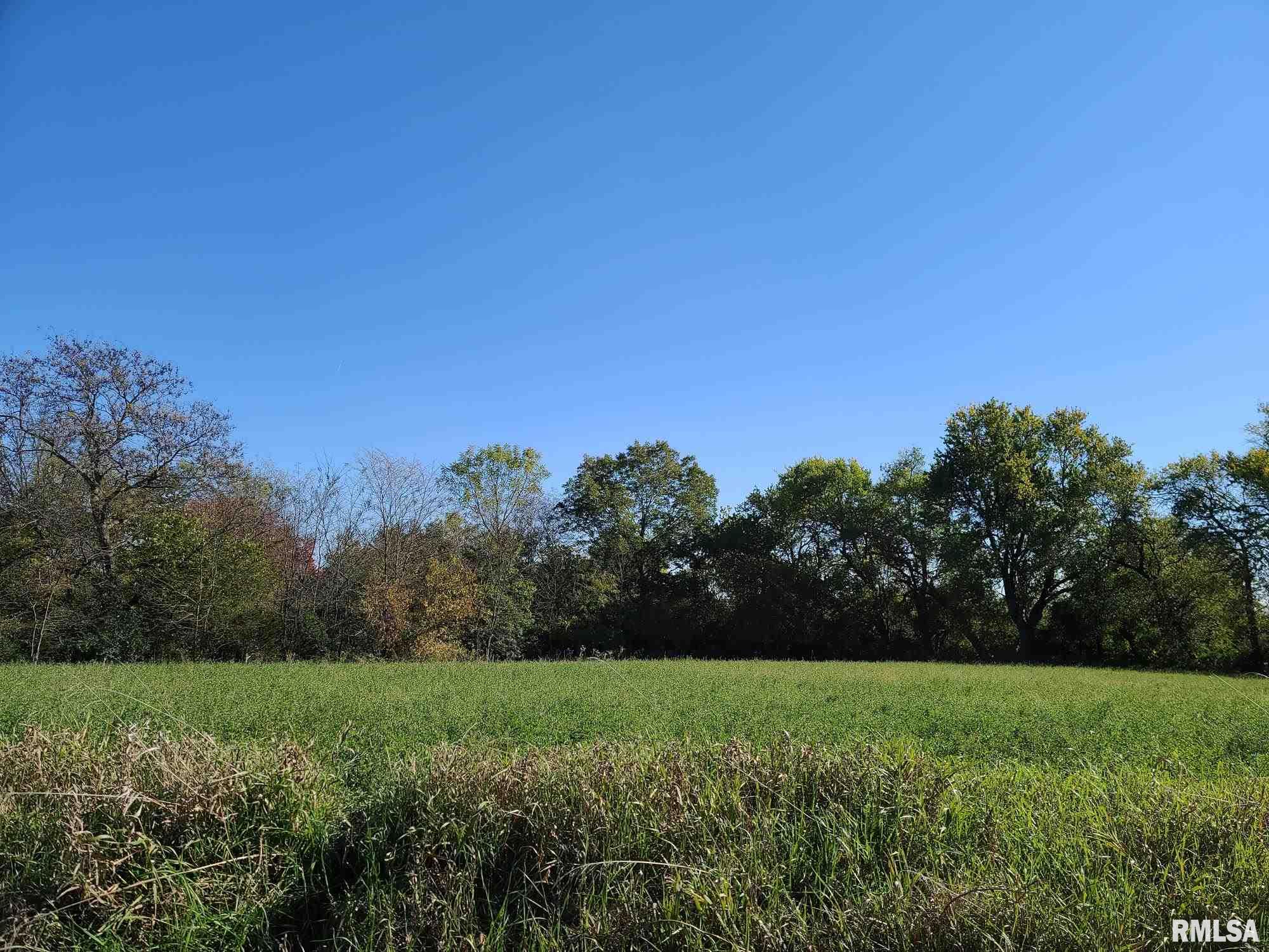 0 Strawn Crossing Road Jacksonville, IL 62650 - Photo 2 of 6
