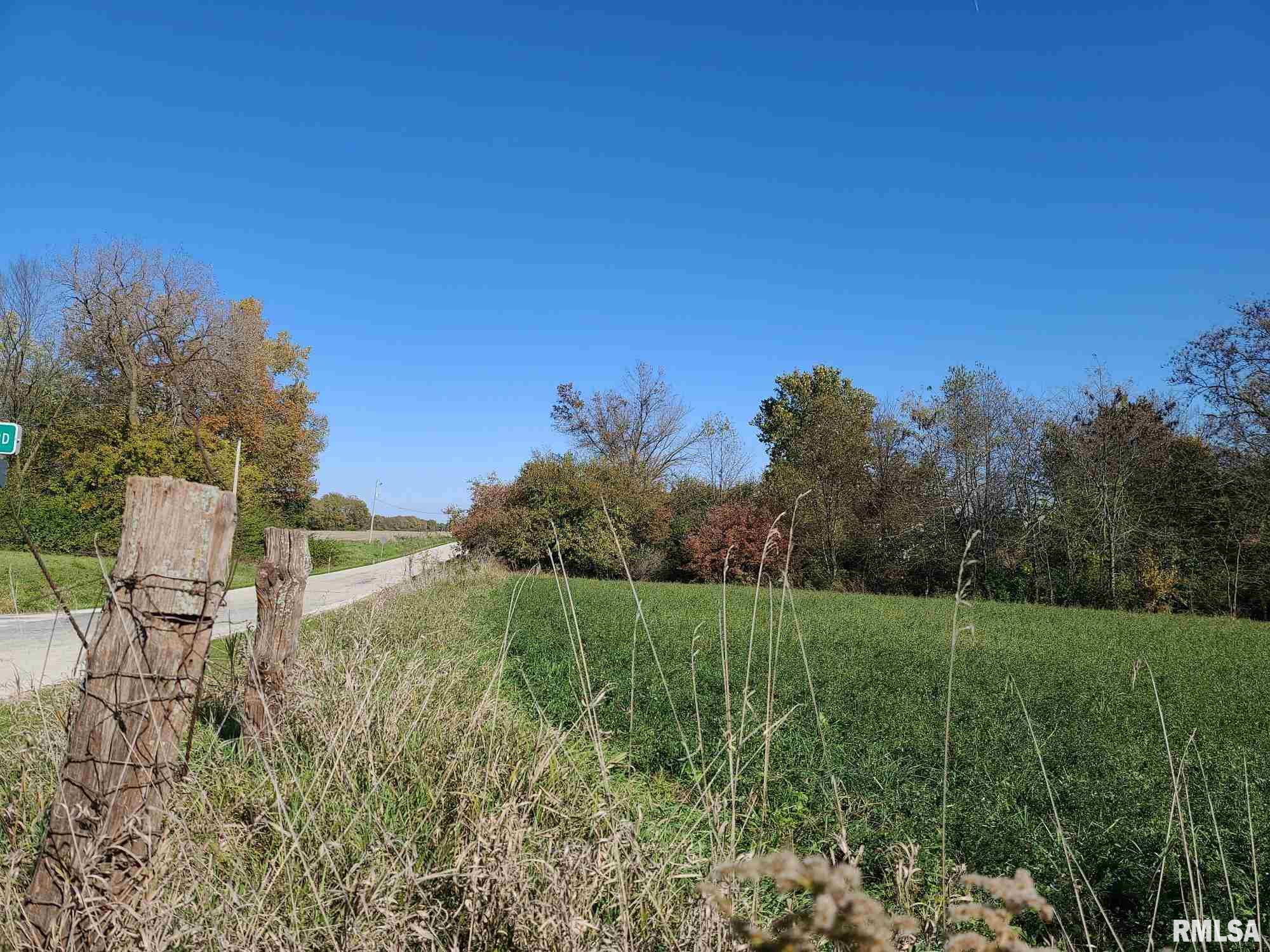 0 Strawn Crossing Road Jacksonville, IL 62650 - Photo 4 of 6