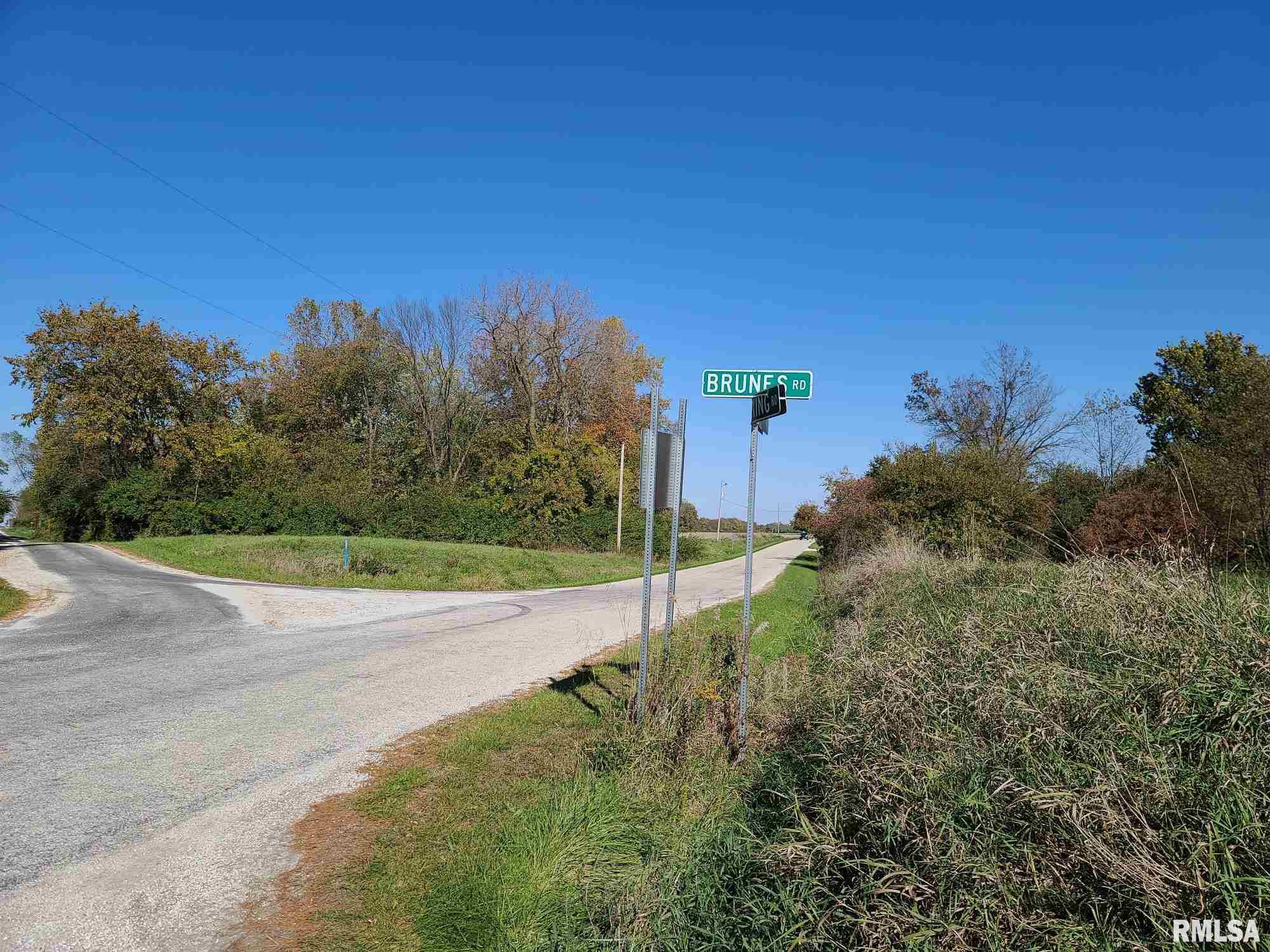 0 Strawn Crossing Road Jacksonville, IL 62650 - Photo 5 of 6