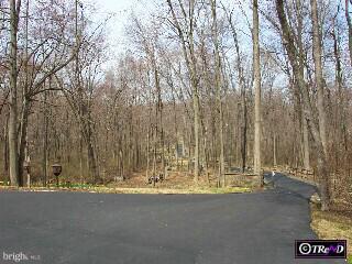 1330 South Leopard Road Berwyn, PA 19312 - Photo 4 of 5