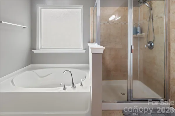 a bathroom with shower and bathtub