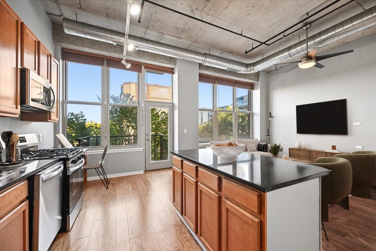 6 South Laflin Street, Unit 304 Chicago, IL 60607 - Photo 7 of 19 Gallery Image 7