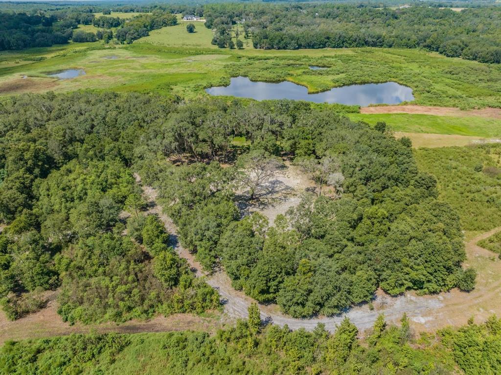 Neff Lake Road Brooksville, FL 34602 - Photo 1 of 1 Gallery Image 1