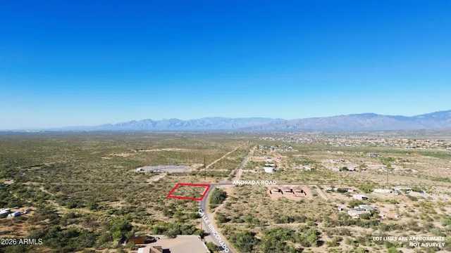 a view of a lake from a yard