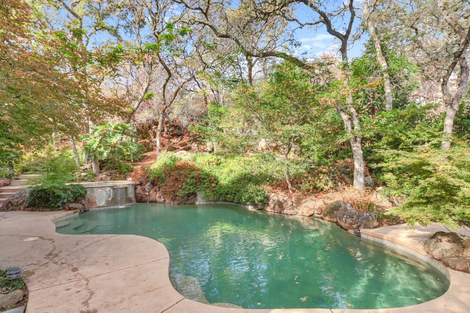 3058 Ridgeview Drive El Dorado Hills, CA 95762 - Photo 2 of 73 a backyard of a house with a yard and large trees