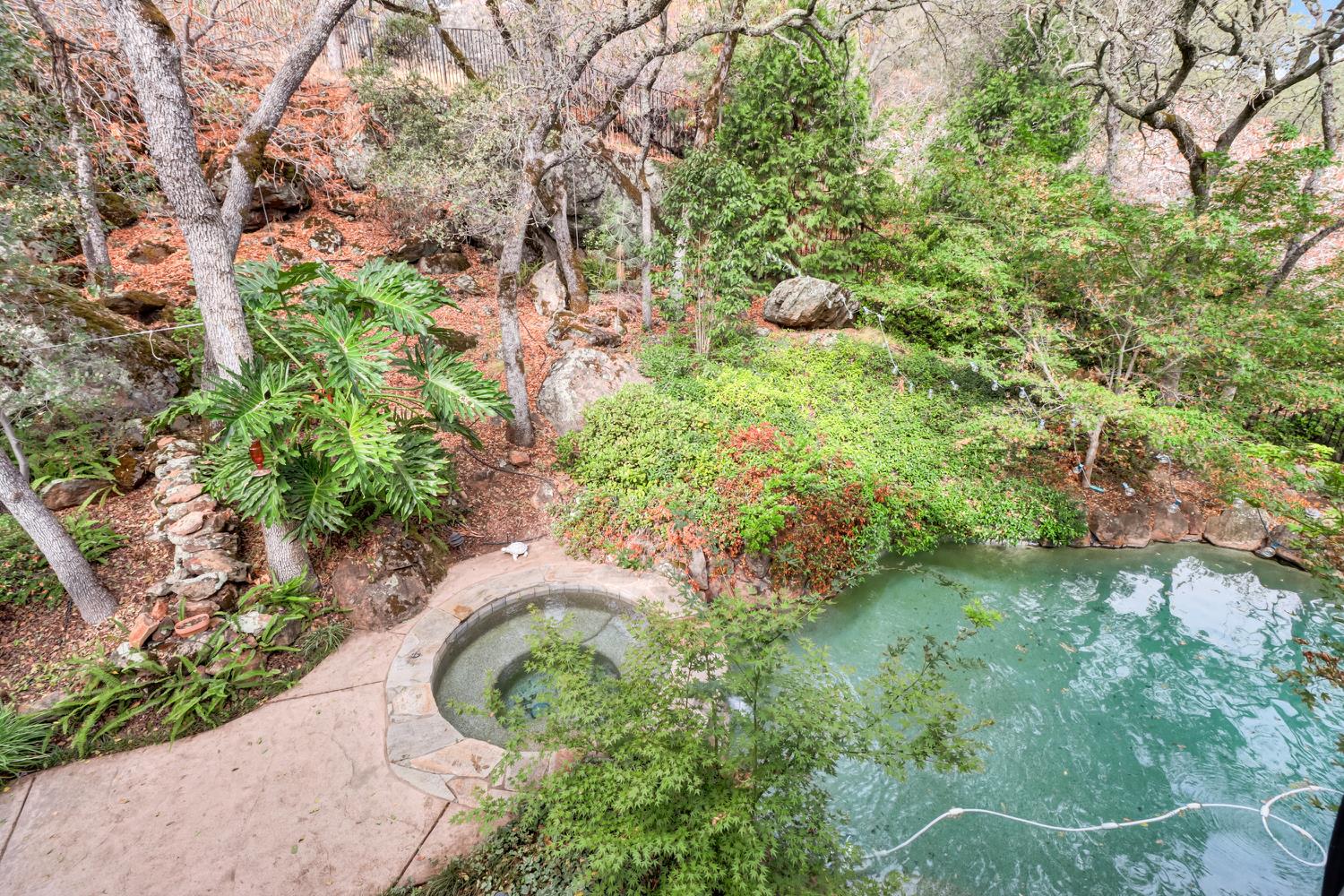 3058 Ridgeview Drive El Dorado Hills, CA 95762 - Photo 44 of 73 a view of a garden with plants and large trees