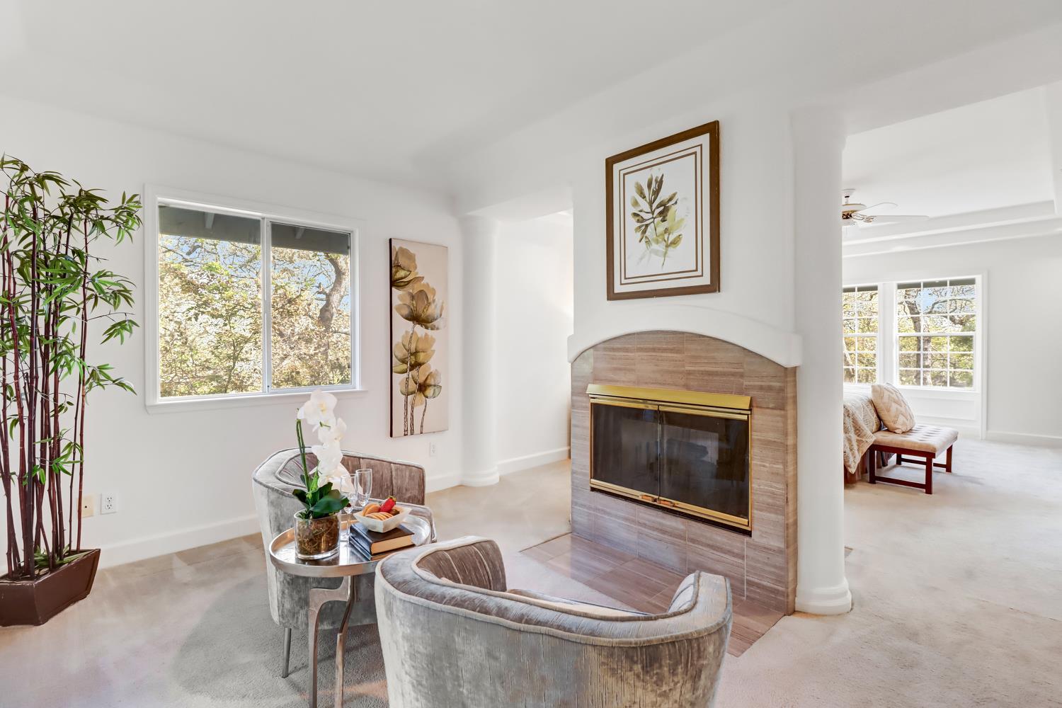 3058 Ridgeview Drive El Dorado Hills, CA 95762 - Photo 47 of 73 a living room with furniture and a fireplace