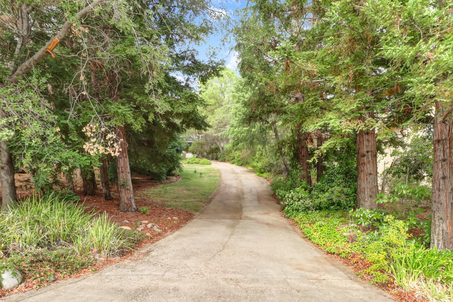 3058 Ridgeview Drive El Dorado Hills, CA 95762 - Photo 6 of 73 a view of a pathway both side of yard