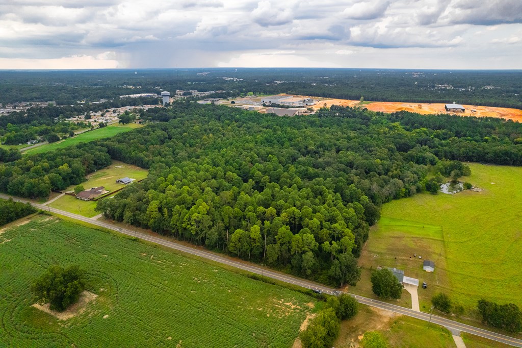 0 East Wayne Road Dothan, AL 36301 - Photo 5 of 18