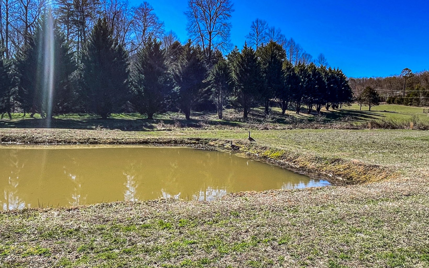 2055 Shady Grove Road Murphy, NC 28906 - Photo 2 of 49 Additional View