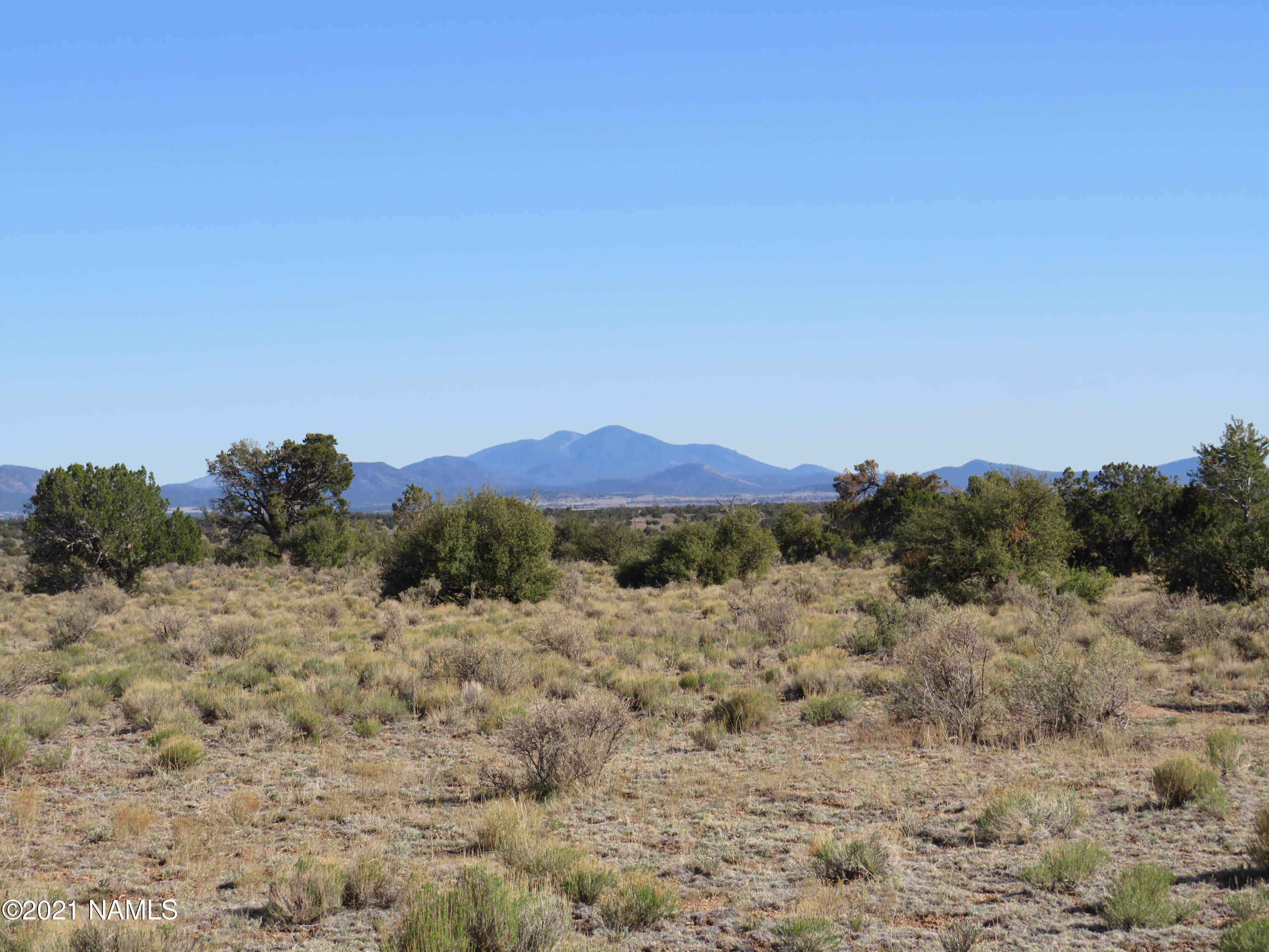 2150 Red Butte Road Williams, AZ 86046 - Photo 11 of 27 a view of a dry yard with a tree