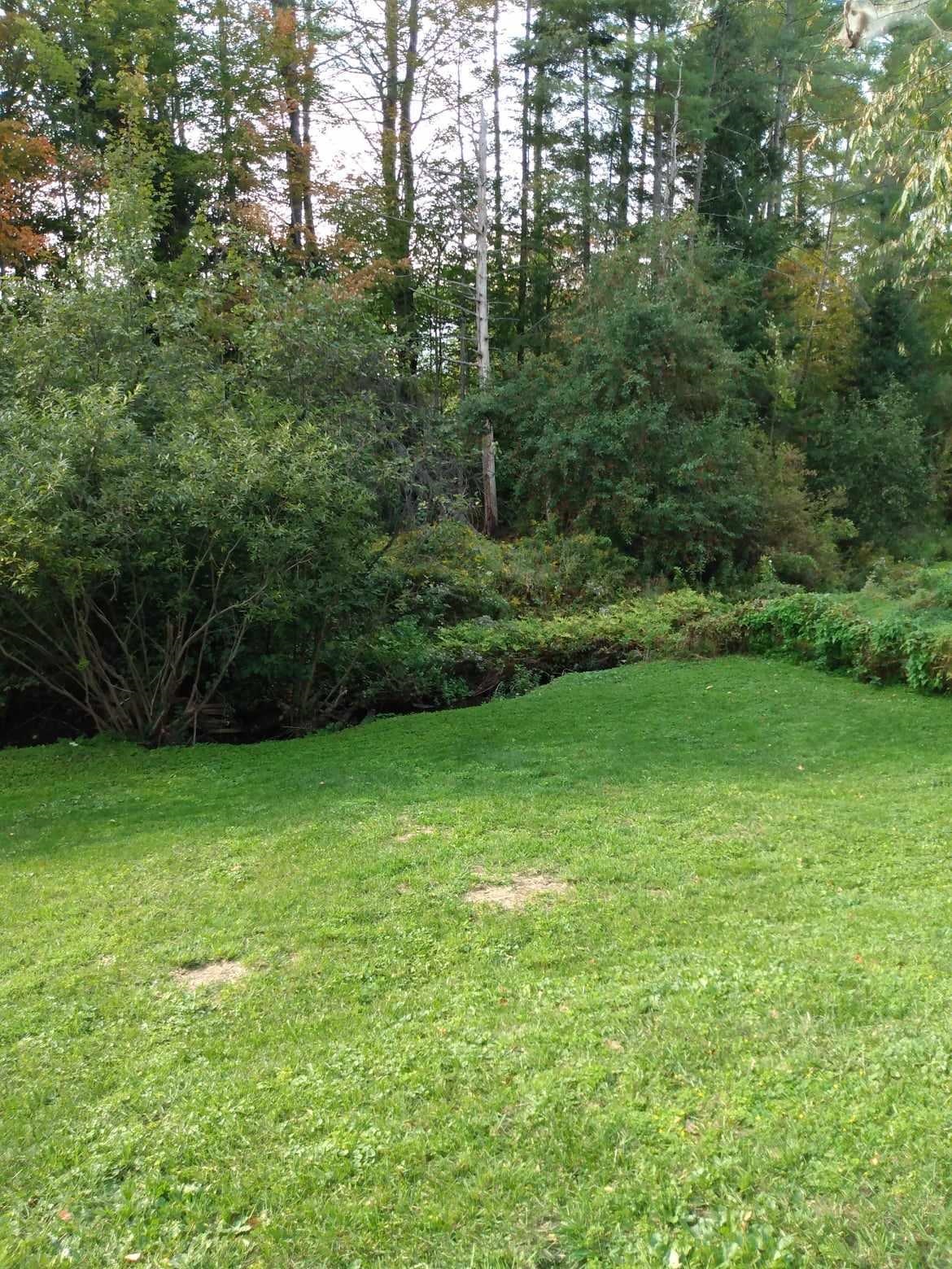 25 Farr Hill Road Littleton, NH 03561 - Photo 7 of 8