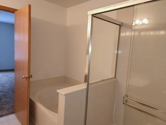 a bathroom with a bathtub and a shower