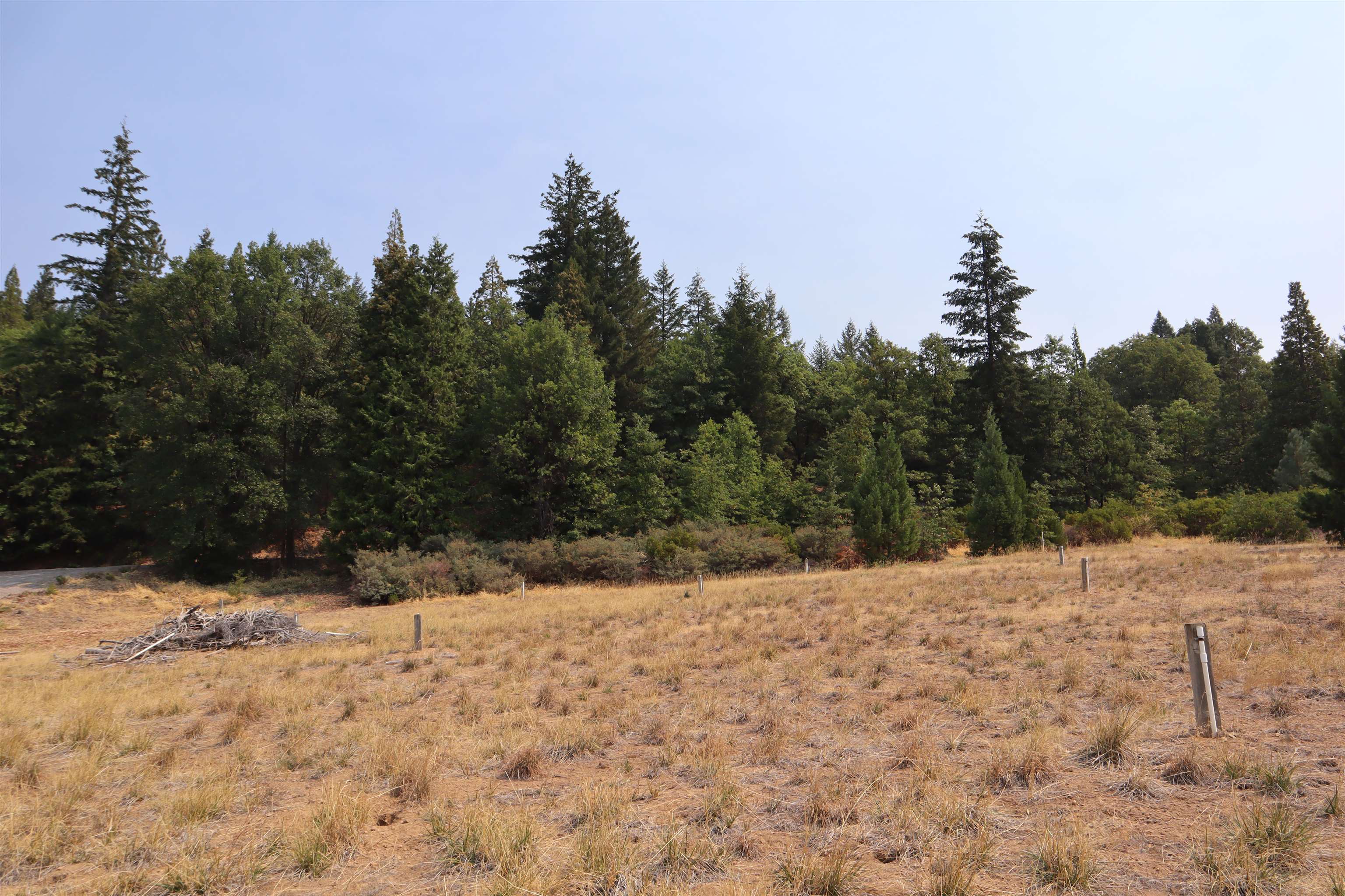 0 Old McCloud Road Mount Shasta, CA 96067 - Photo 2 of 18 Gallery Image 2