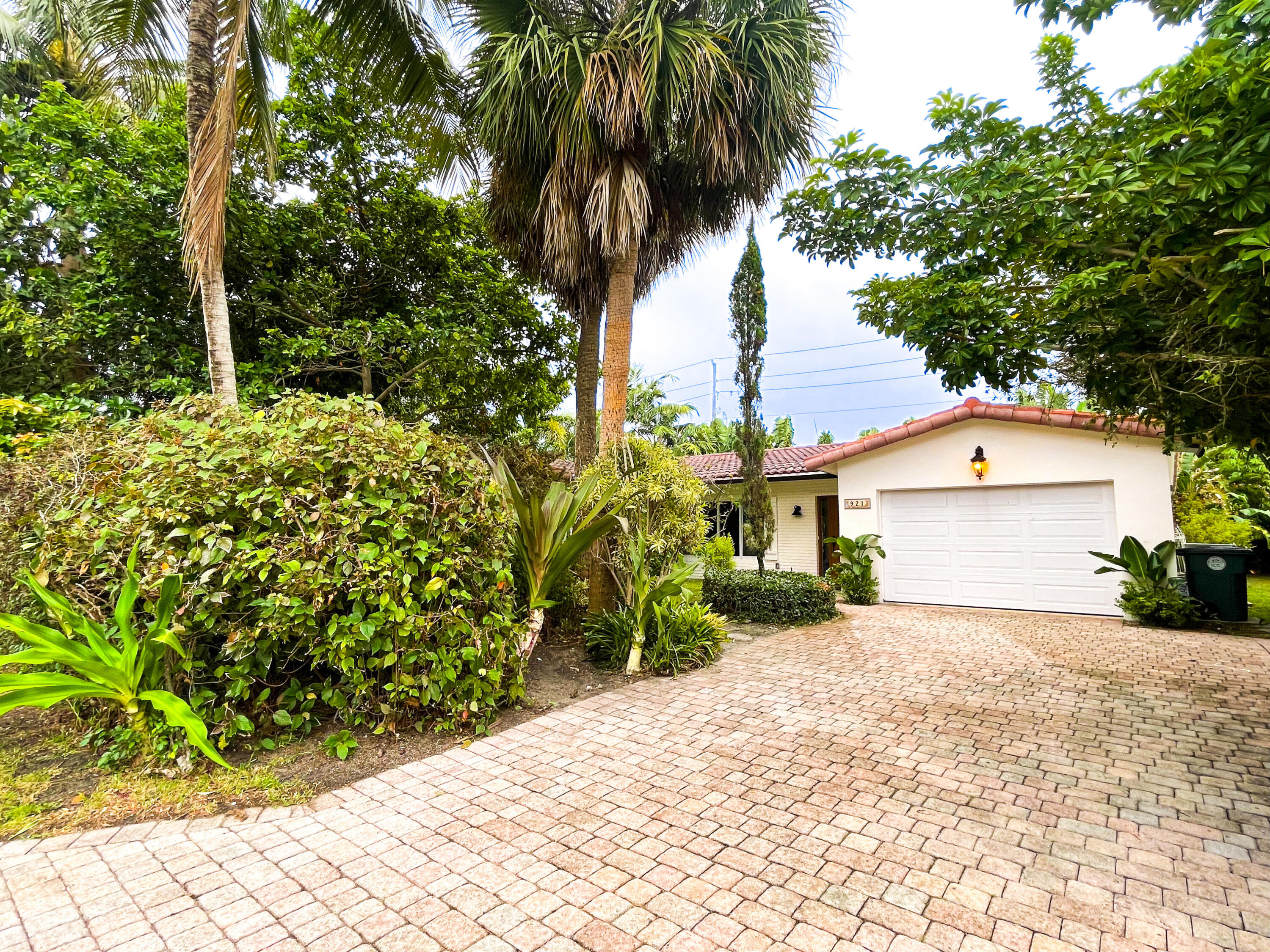 a view of a house with a small yard and large trees
