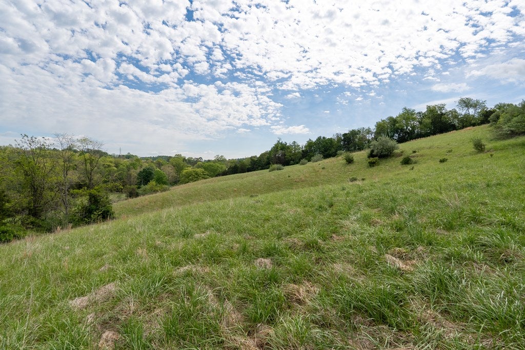 Tbd Reed Creek Mill Road Wytheville, VA 24382 - Photo 8 of 22 Gallery Image 8