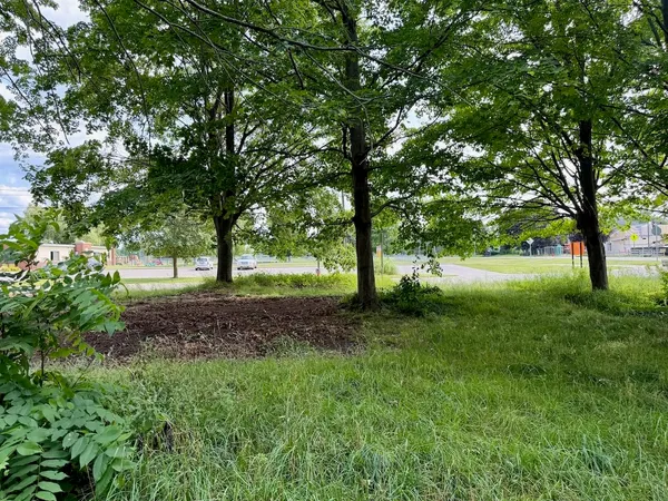 $150,000 | Lot 30 Buckley, Elk Rapids, MI 49629