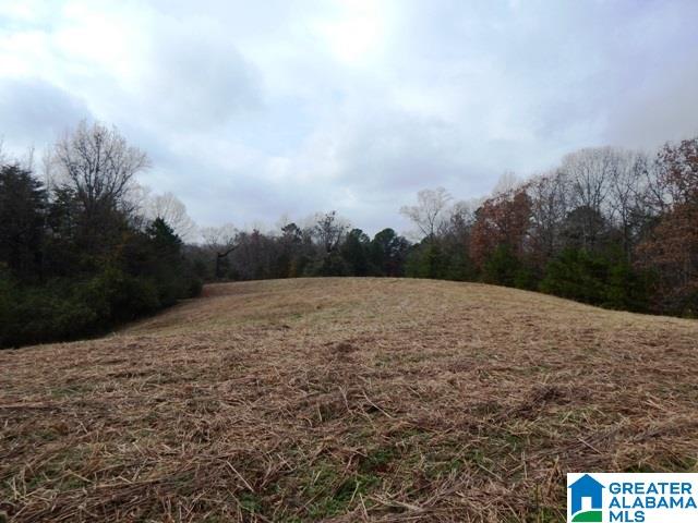 351 Beasley Road Gardendale, AL 35071 - Photo 4 of 6