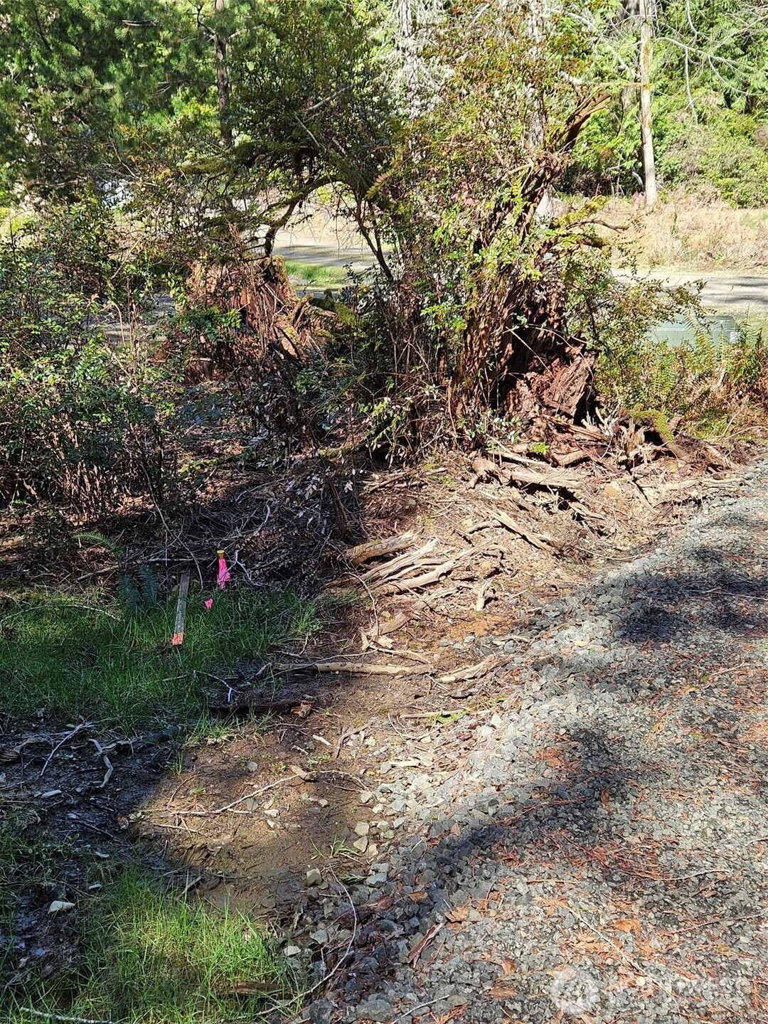 655 East Portage Road Shelton, WA 98584 - Photo 15 of 31