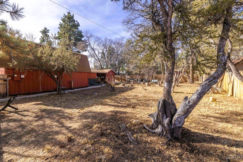 548 Riverside Avenue Sugarloaf, CA 92386 - Photo 31 of 37 a tree is standing in between the two trees