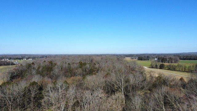 0 Pyles Road Chapel Hill, TN 37034 - Photo 2 of 6