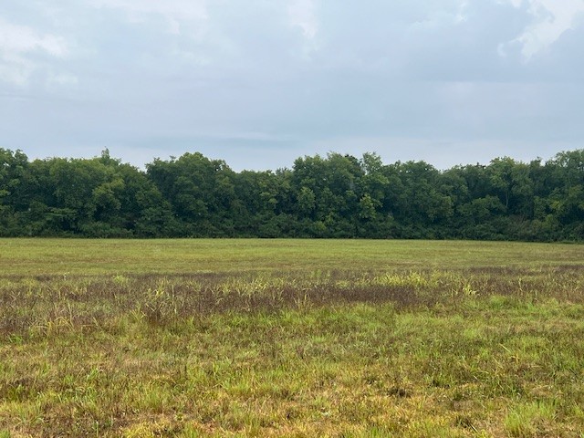 0 Pyles Road Chapel Hill, TN 37034 - Photo 3 of 6