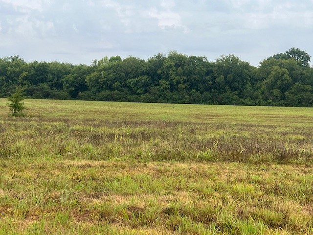 0 Pyles Road Chapel Hill, TN 37034 - Photo 4 of 6