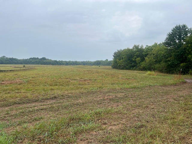 0 Pyles Road Chapel Hill, TN 37034 - Photo 5 of 6