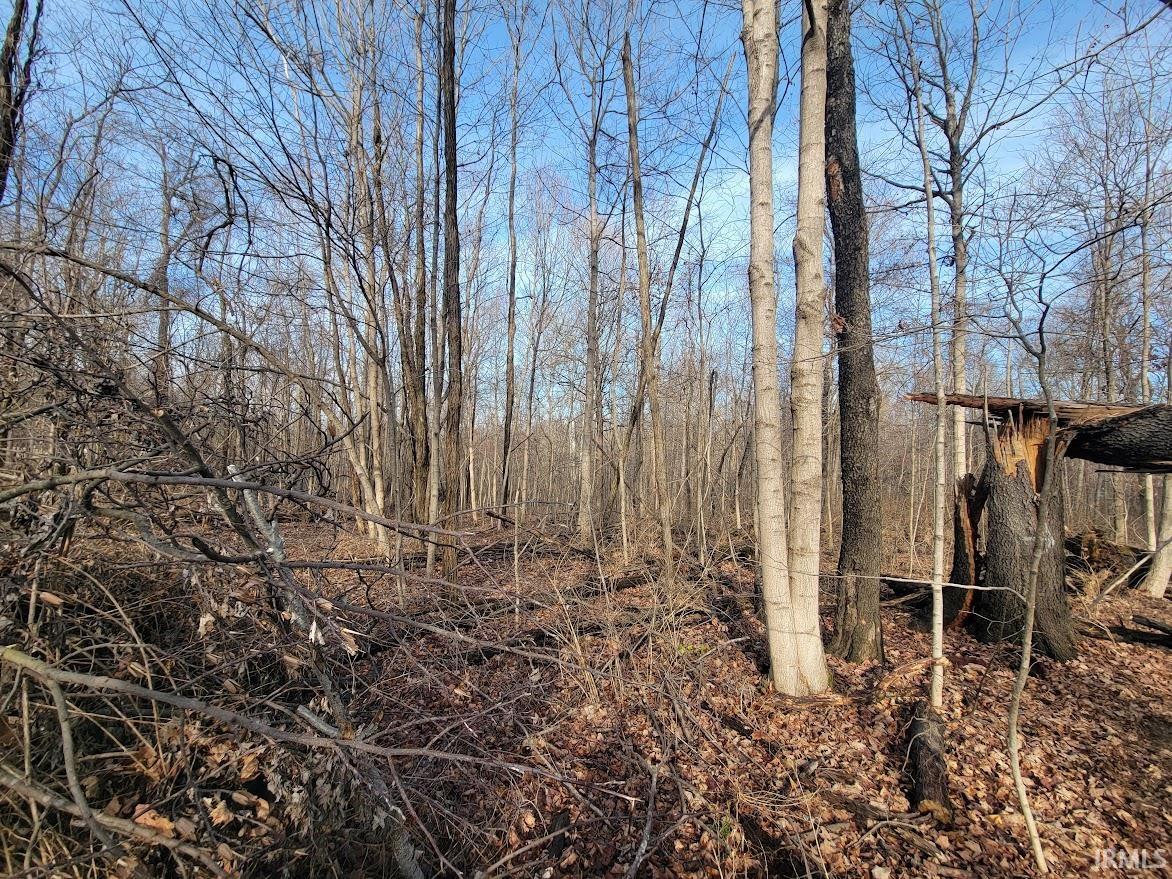 920 East Dillman Road Bloomington, IN 47401 - Photo 25 of 30