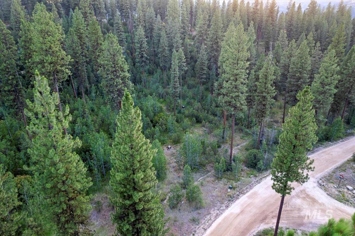 Lot 12 Shaw Gulch Road Boise, ID 83716 - Photo 6 of 23 View of property location featuring a heavily wooded area