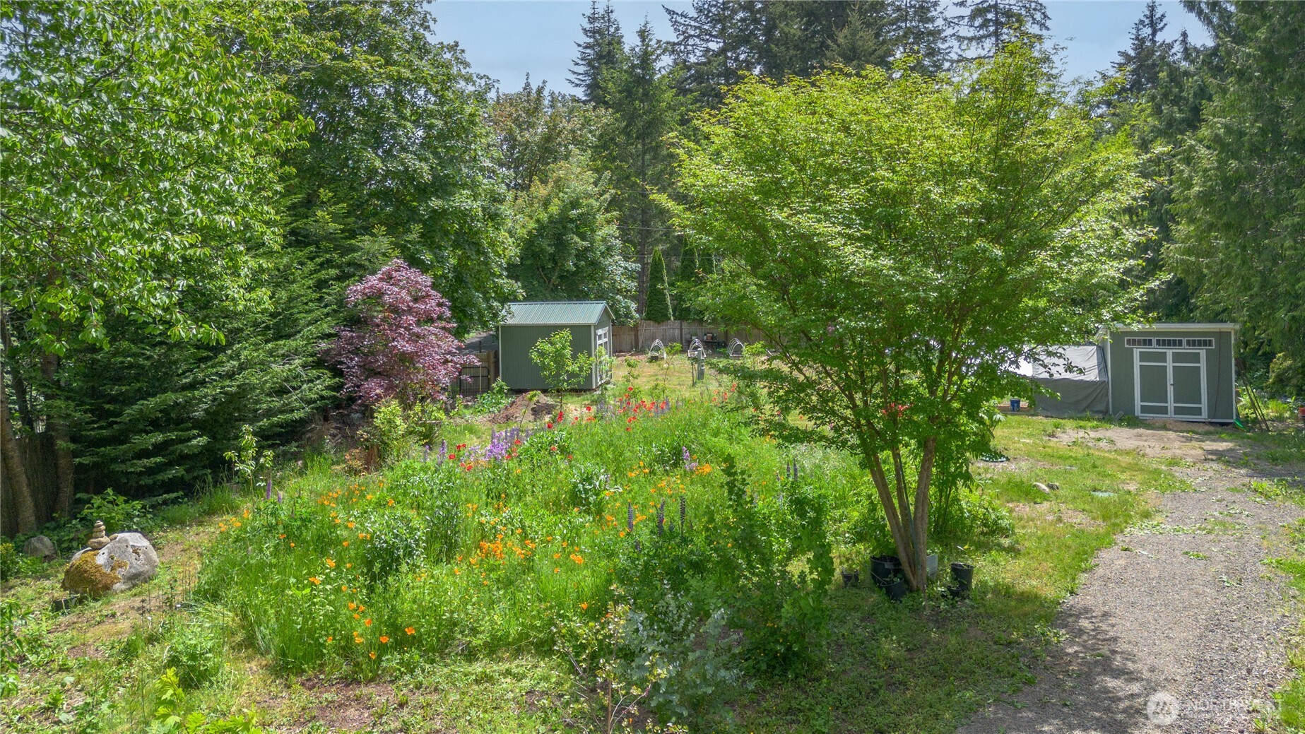 290 Werner Road Port Ludlow, WA 98365 - Photo 25 of 40 a view of a back yard
