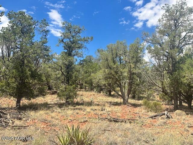 1020 Duffis Bluff Road Seligman, AZ 86337 - Photo 9 of 18 IMG_9660