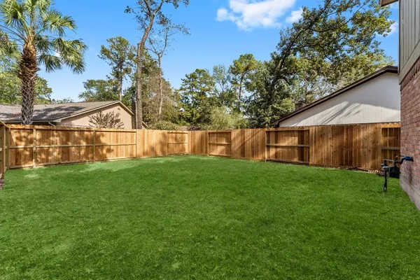 a view of a backyard with plants and large trees