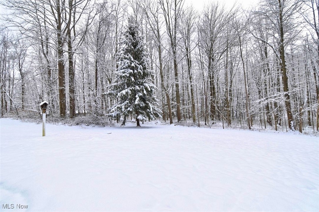 3302 South Ridge Road East Ashtabula, OH 44004 - Photo 25 of 28