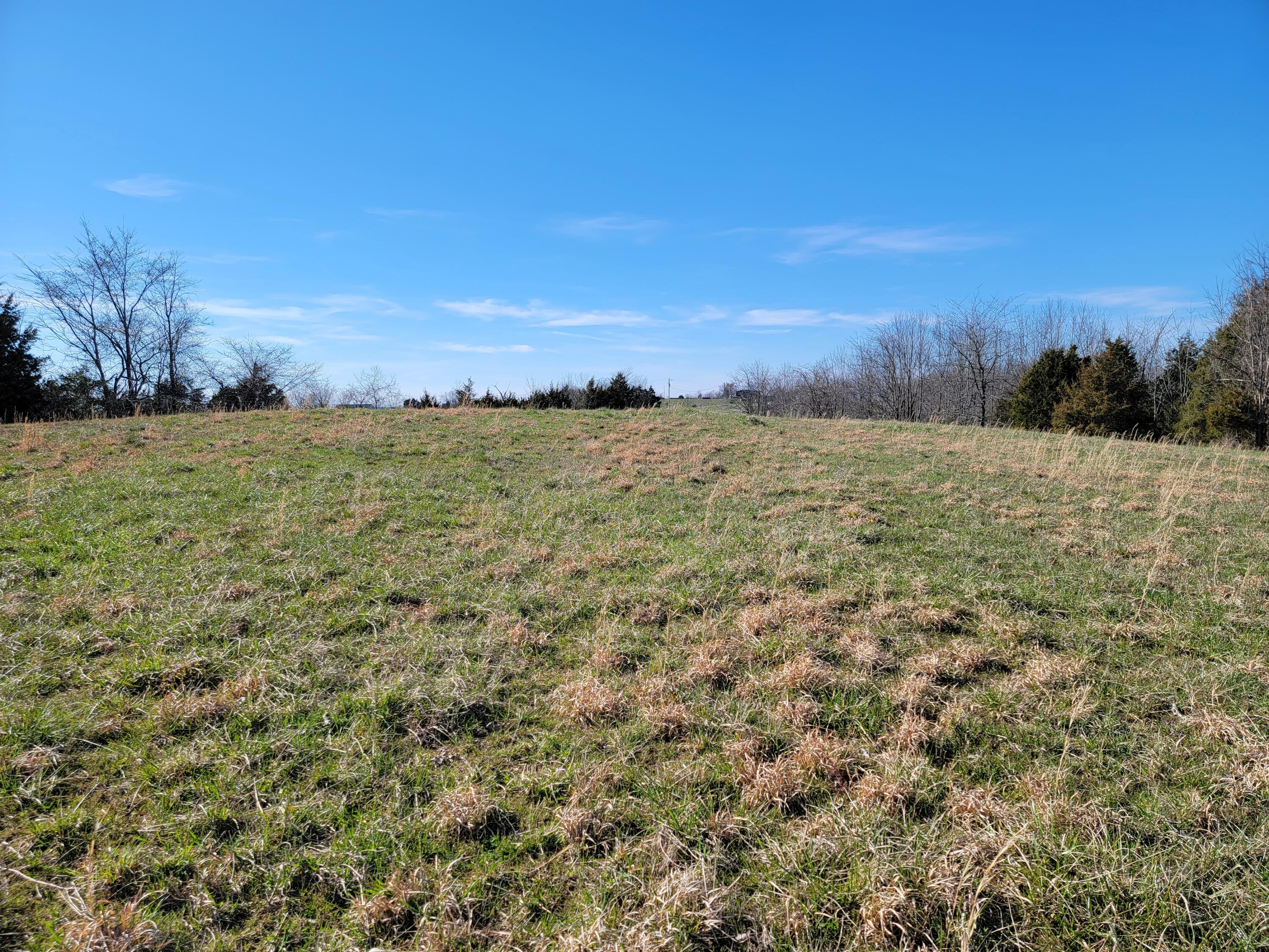 0 Pea Ridge Road Germantown, KY 41044 - Photo 5 of 6 Gallery Image 5