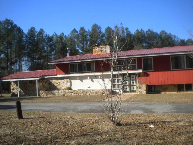 Primary Photo