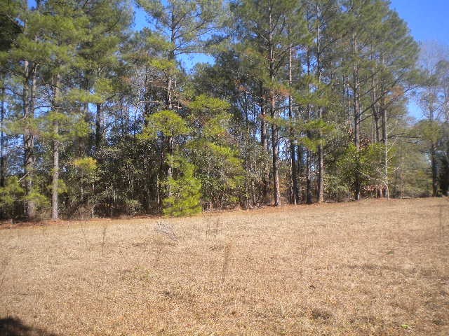 977 Jaybird Springs Road Chauncey, GA 31011 - Photo 15 of 15 Additional Photo