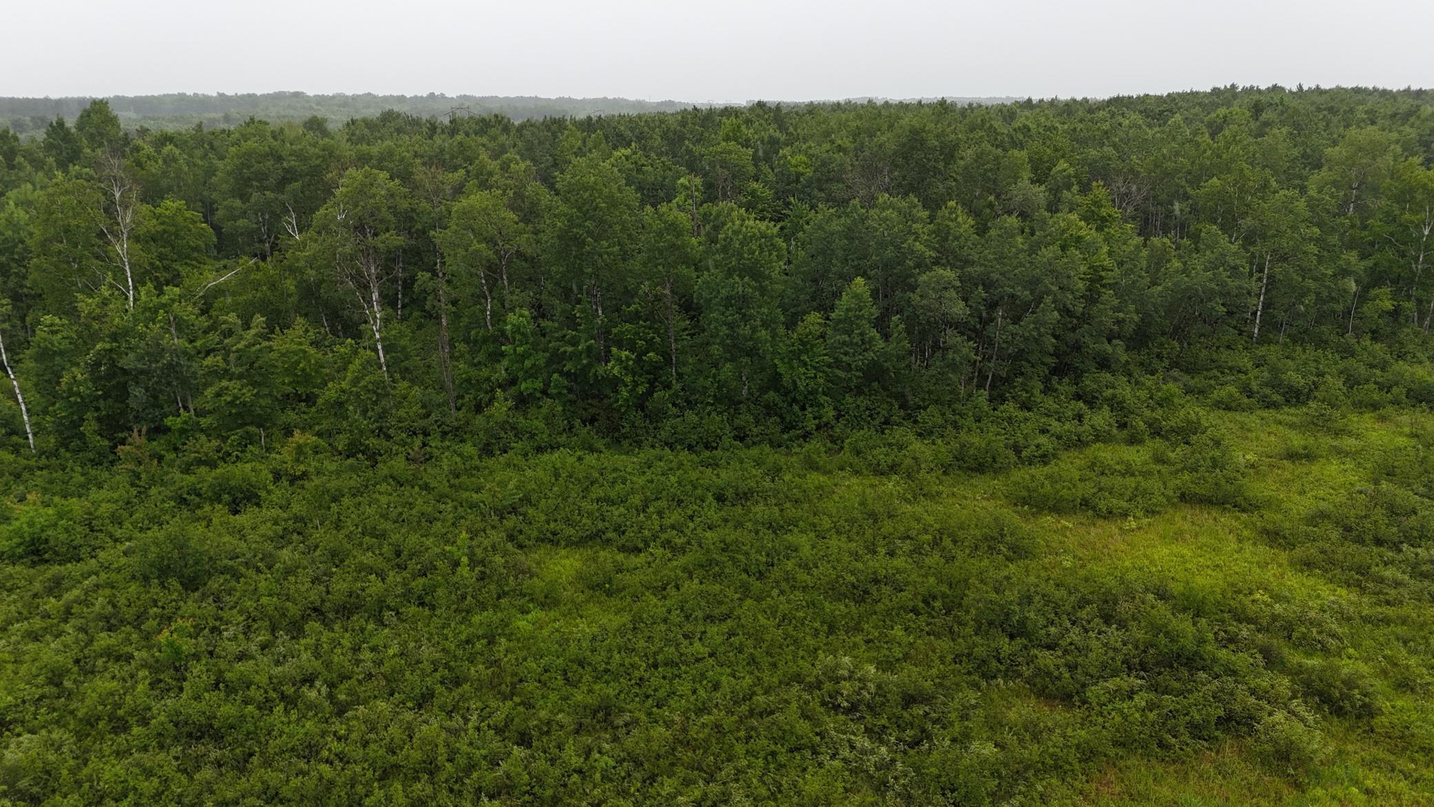 Tbd Klejeski Road Sandstone, MN 55072 - Photo 23 of 32