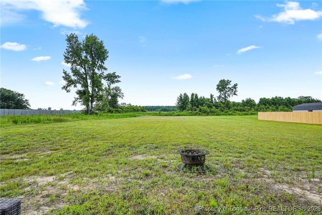 601 Laurel Lake Road Salemburg, NC 28385 - Photo 33 of 34