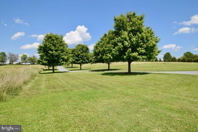 37813 Baker Mill Road Purcellville, VA 20132 - Photo 3 of 61