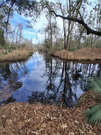 $40,000 | 0 Crumley Road, Unit LOT 47 AND 47A, Walterboro, SC 29488