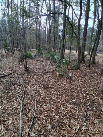 $40,000 | 0 Crumley Road, Unit LOT 47 AND 47A, Walterboro, SC 29488