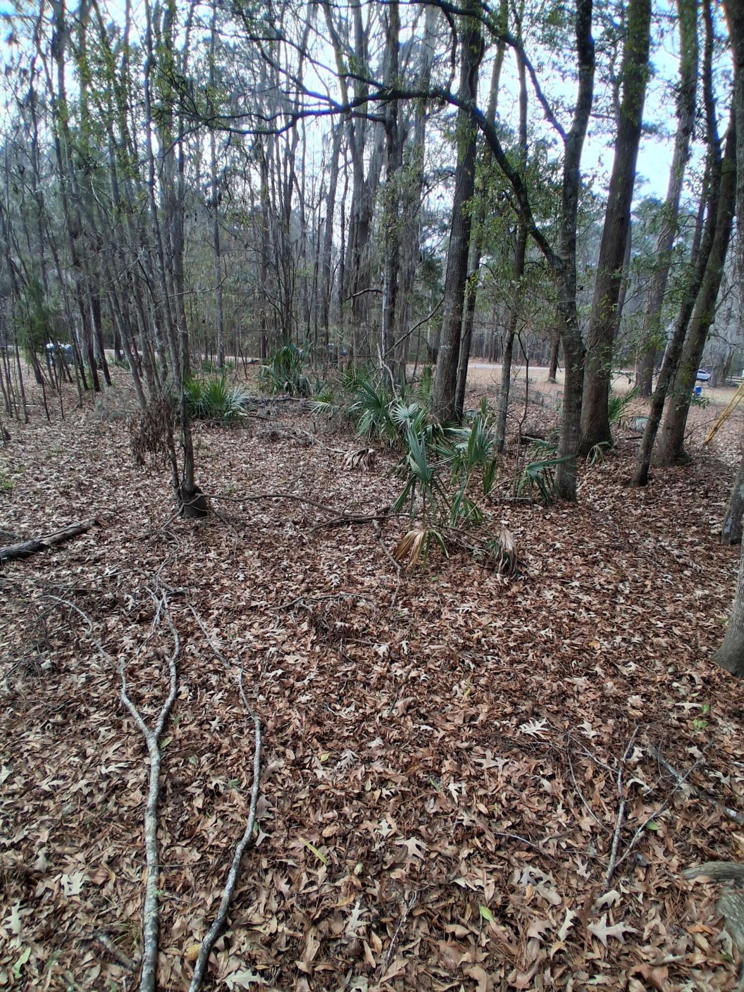 0 Crumley Road, Unit LOT 47 AND 47A Walterboro, SC 29488 - Photo 3 of 7 811 (1)