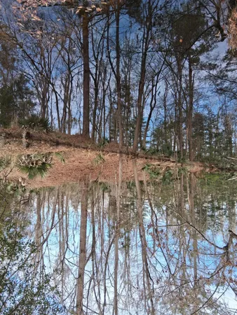 $40,000 | 0 Crumley Road, Unit LOT 47 AND 47A, Walterboro, SC 29488