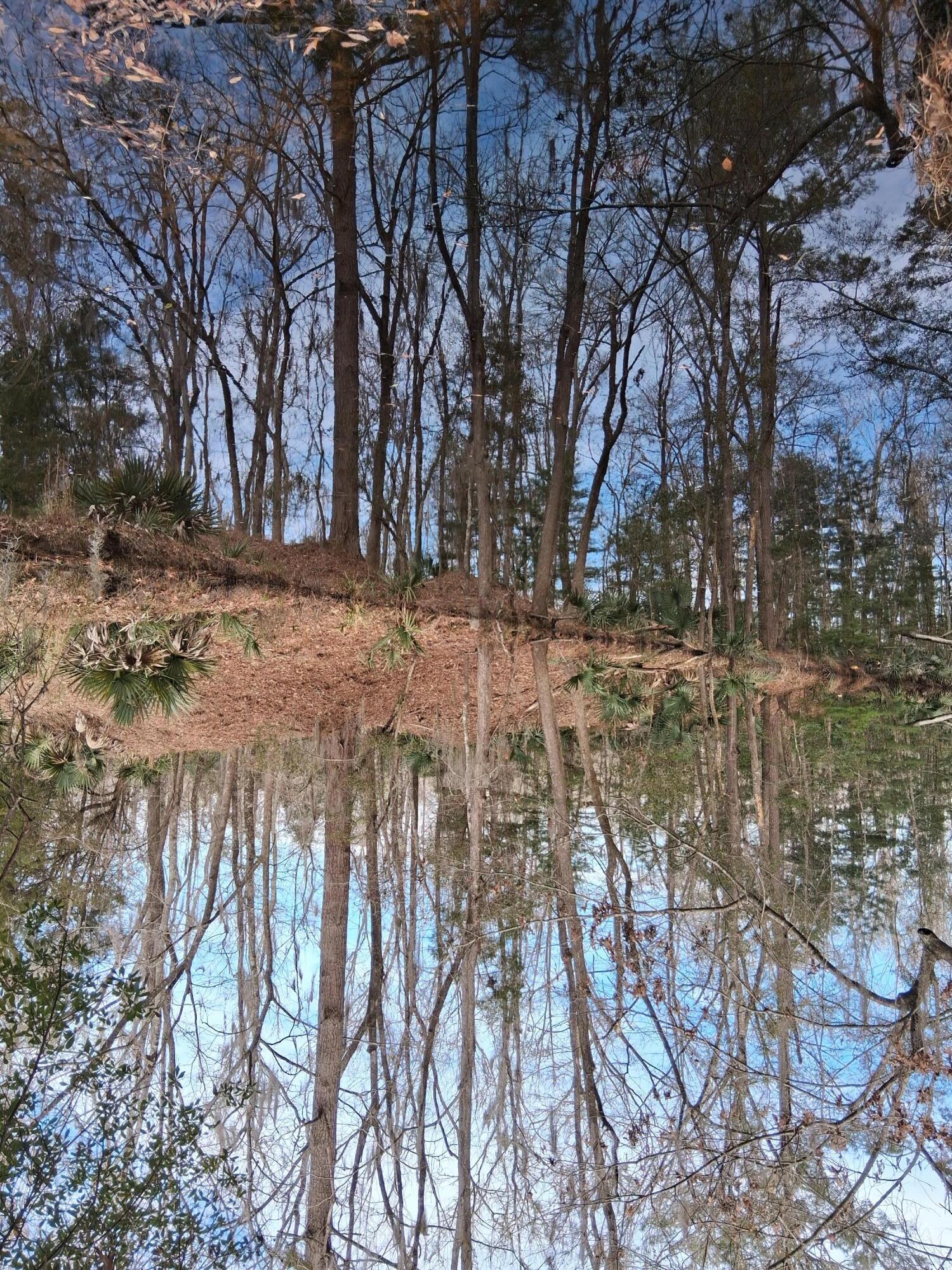 0 Crumley Road, Unit LOT 47 AND 47A Walterboro, SC 29488 - Photo 4 of 7 809